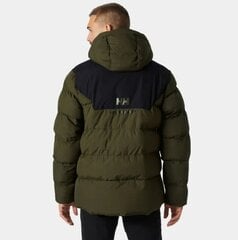 Мужская куртка Helly Hansen, хаки цена и информация | Мужские куртки | kaup24.ee