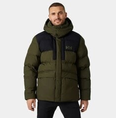 Мужская куртка Helly Hansen, хаки цена и информация | Мужские куртки | kaup24.ee