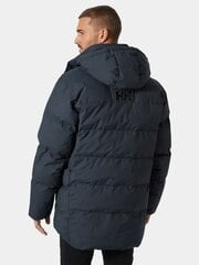 Мужская куртка Helly Hansen, темно-синяя цена и информация | Мужские куртки | kaup24.ee