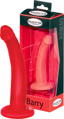 Malesation Barry Red Dildo hind ja info | Anaallelud | kaup24.ee