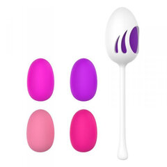 Tupekuulid Boss Of Toys Kegel Ball, roosa hind ja info | Vaginaalkuulid | kaup24.ee