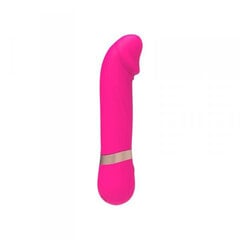 Vibraator Chisa Dildo Vibe, roosa hind ja info | Vibraatorid | kaup24.ee