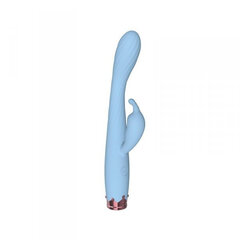 Vibraator Dual Vibrator, sinine hind ja info | Vibraatorid | kaup24.ee