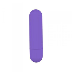 Boss Of Toys Power Bullet USB 10 functions Glossy Matte Purple цена и информация | Вибраторы | kaup24.ee