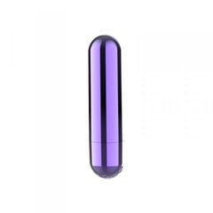 Boss Of Toys Power Bullet USB 10 functions Glossy Purple цена и информация | Вибраторы | kaup24.ee