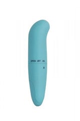 Vibraator Mini G Spot, sinine hind ja info | Vibraatorid | kaup24.ee