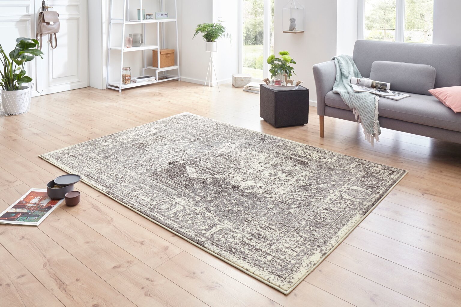 Vaip Hanse Home Plume, 120x170 cm цена и информация | Vaibad | kaup24.ee