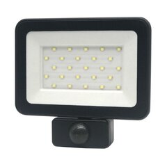 20W LED prožektor PIR sensoriga TAMASENS hind ja info | Süvistatavad ja LED valgustid | kaup24.ee