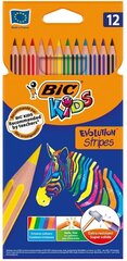 BIC, Pliiats Evolution Stripes, 12 värvi hind ja info | Kunstitarbed, voolimise tarvikud | kaup24.ee