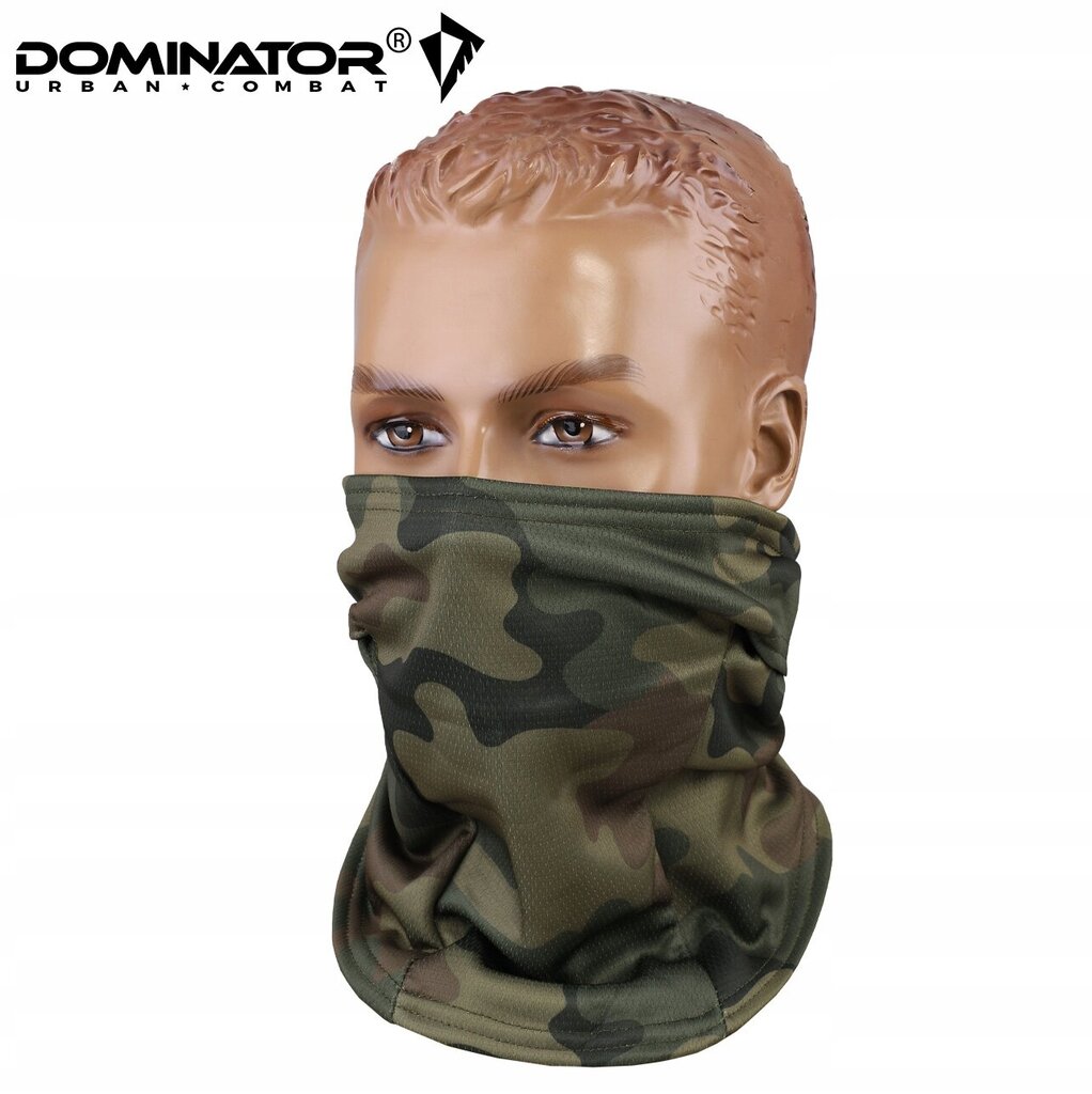 Termoaktiivne talvine balaclava, Dominator, Ninja, WZ.93 hind ja info | Meeste sallid, mütsid ja kindad | kaup24.ee