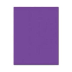 Картонная бумага Iris Фиолетовый 185 g (50 x 65 cm) (25 штук) цена и информация | Тетради и бумажные товары | kaup24.ee