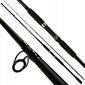 HOKKAIDO DECISIVE FACTOR SPIN ROD 2.4M 10-30G цена и информация | Ridvad, ridvahoidjad | kaup24.ee