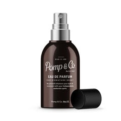 Parfüümvesi Pomp & Co Nr. 17 meestele, 50 ml hind ja info | Meeste parfüümid | kaup24.ee