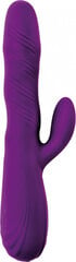 Lang Loys Rotating Vibrator with Clitorial Stimulation Purple цена и информация | Вибраторы | kaup24.ee