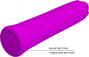 Lybaile Pretty Love Curtis Vibrator Purple цена и информация | Вибраторы | kaup24.ee