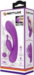 Lybaile Pretty Love Grace Vibrator Purple цена и информация | Вибраторы | kaup24.ee