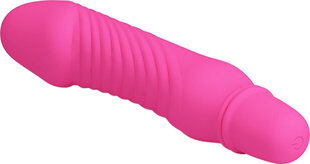 Vibraator Pretty Love Stev Vibrator, roosa hind ja info | Vibraatorid | kaup24.ee