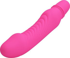 Lybaile Pretty Love Stev Vibrator Pink цена и информация | Вибраторы | kaup24.ee