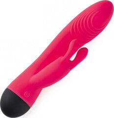 Virgite Rechargeable Dual G-Spot Vibrator V6 - Pink цена и информация | Вибраторы | kaup24.ee