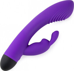 Virgite Rechargeable Dual G-Spot Vibrator V6 - Purple цена и информация | Вибраторы | kaup24.ee