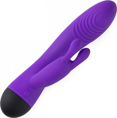 Vibraator Virgite Rechargeable Dual G-Spot Vibrator V6, lilla hind ja info | Vibraatorid | kaup24.ee