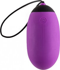 Virgite Rechargeable Remote Control Egg G6 - Purple цена и информация | Вибраторы | kaup24.ee