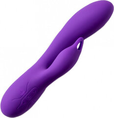 Virgite Rechargeable Vibrator V2 - Purple цена и информация | Вибраторы | kaup24.ee