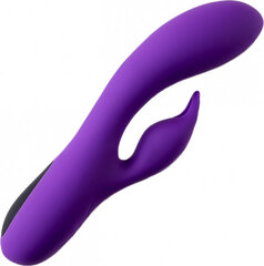 Virgite Rechargeable Vibrator V2 - Purple цена и информация | Вибраторы | kaup24.ee