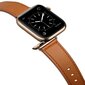 Kellarihm Käevõru RIhm mudeli jaoks Apple Watch Iwatch 4Tech ULTRA SE 9 8 7 6 5 4 3 2 1 49 45 44 42 mm Band naturaalsest nahast pruun цена и информация | Nutikellade ja nutivõrude tarvikud | kaup24.ee