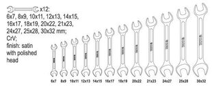 Набор ключей рожковых Yato (YT-0381), 12 шт. цена и информация | Механические инструменты | kaup24.ee