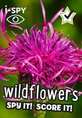 i-SPY Wildflowers: Spy it! Score it! цена и информация | Книги для малышей | kaup24.ee