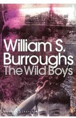 Wild Boys: A Book of the Dead цена и информация | Фантастика, фэнтези | kaup24.ee