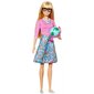 Nukk Barbie õpetaja цена и информация | Tüdrukute mänguasjad | kaup24.ee