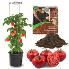 Tomatite istutuspott 28 L köögiviljade kasvatamine + maa, universaalne substraat 25L hind ja info | Dekoratiivsed lillepotid | kaup24.ee