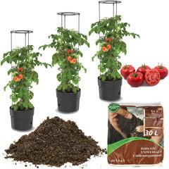 3x Tomatite istutuskast 12 L köögiviljade kasvatamine + maa, universaalne substraat 30L hind ja info | Dekoratiivsed lillepotid | kaup24.ee