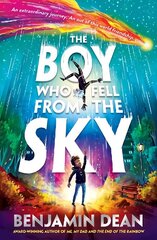 Boy Who Fell From the Sky hind ja info | Noortekirjandus | kaup24.ee