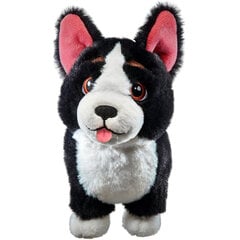 Blizzard Overwatch 2 - Sojourn Corgi Deluxe pluusi mänguasi hind ja info | Fännitooted mänguritele | kaup24.ee