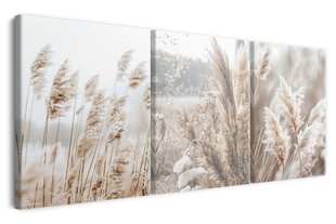 Moodne maal elutoa jaoks Triptühhon lõuendil maal Pampas rohi 60x120 цена и информация | Картины, живопись | kaup24.ee