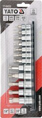 Võtmete komplekt Torx aukudega 1/4" 3/8" T8-T55 Yato (YT-04332), 12 tk цена и информация | Механические инструменты | kaup24.ee