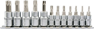 Võtmete komplekt Torx aukudega 1/4" 3/8" T8-T55 Yato (YT-04332), 12 tk hind ja info | Käsitööriistad | kaup24.ee