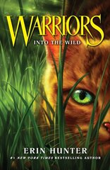 Into the Wild hind ja info | Noortekirjandus | kaup24.ee