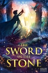 Sword in the Stone цена и информация | Книги для подростков и молодежи | kaup24.ee