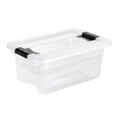 Коробка с крышкой Crystalbox Cornelia 29,5x19,5x12,5см 4л прозрачная цена и информация | Ящики для вещей | kaup24.ee