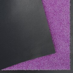 Hanse Home дверной коврик Wash & Clean, 40x60 см цена и информация | Придверные коврики | kaup24.ee