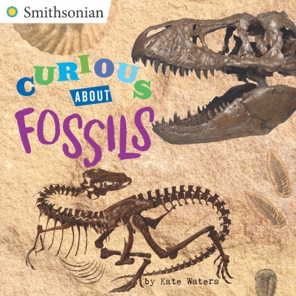 Curious About Fossils hind ja info | Noortekirjandus | kaup24.ee