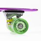 Rula Nils Extreme Pennyboard PNB01 цена и информация | Rulad | kaup24.ee