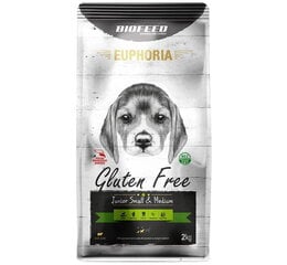 Biofeed Euphoria Gluten Free väikestele ja keskmist tõugu kutsikatele koos lambalihaga, 2 kg hind ja info | Kuivtoit koertele | kaup24.ee