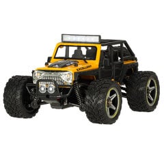 Машинка с дистанционным управлением WLToys 22201 1:22 2WD  MaxDrive цена и информация | Игрушки для мальчиков | kaup24.ee