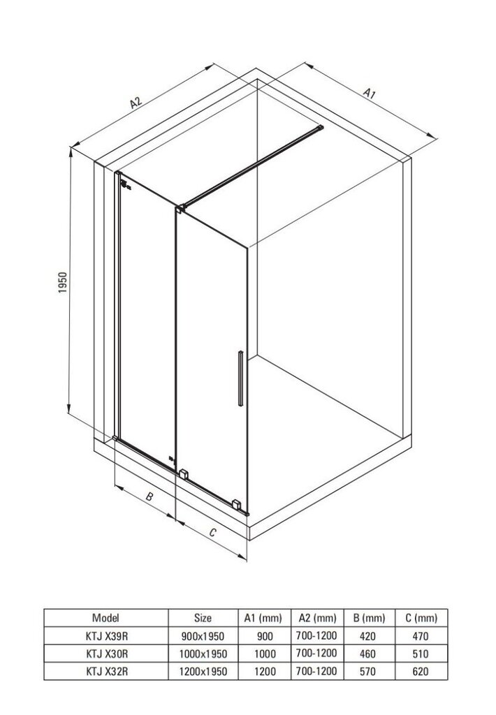 Walk-in lükand dušisein Deante Prizma, Brushed steel, 100x195 cm hind ja info | Dušikabiinide uksed ja seinad | kaup24.ee