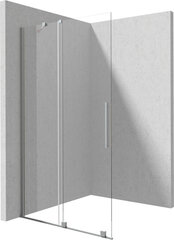 Walk-in lükand dušisein Deante Prizma, Brushed steel, 100x195 cm hind ja info | Dušikabiinide uksed ja seinad | kaup24.ee